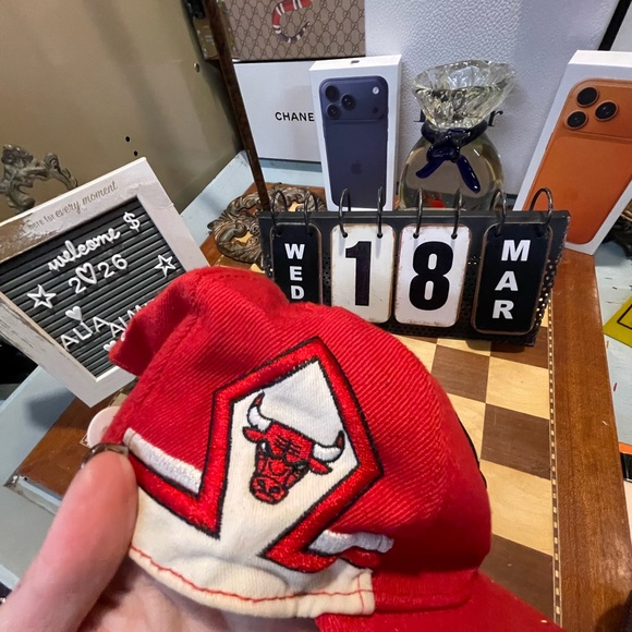 Chicago Bulls - Picture 3 of 8